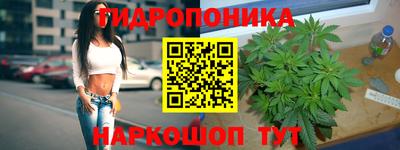 ALPHA PVP Краснознаменск