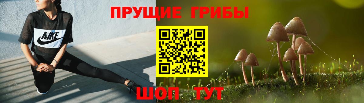 Галлюциногенные грибы Magic Shrooms  хочу наркоту  Когалым  Вход с VPN 